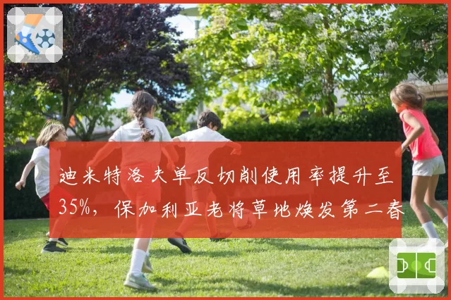 迪米特洛夫单反切削使用率提升至35%，保加利亚老将草地焕发第二春